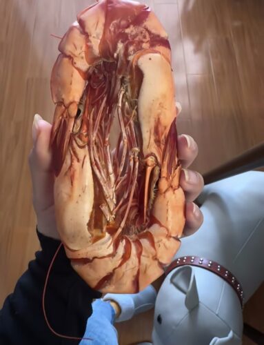Top-grade / Grilled Dried Shrimp photo review