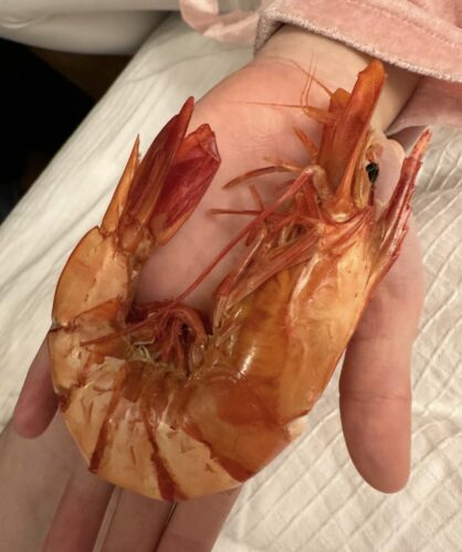Top-grade / Grilled Dried Shrimp photo review