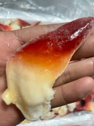 Extra Large Sashimi-Grade Arctic Surf Clam photo review