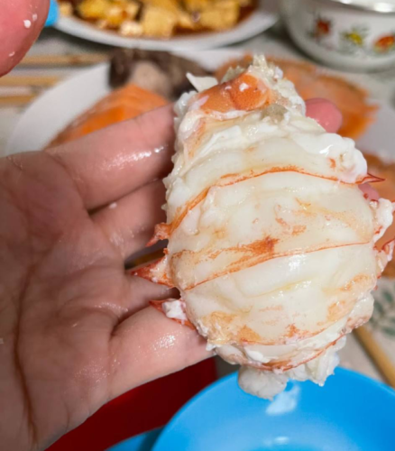 Click to view full screen jumbo Mantis Shrimp Live Seafood Shipped with Oxygen Packs photo review