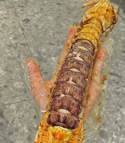 Click to view full screen jumbo Mantis Shrimp Live Seafood Shipped with Oxygen Packs photo review