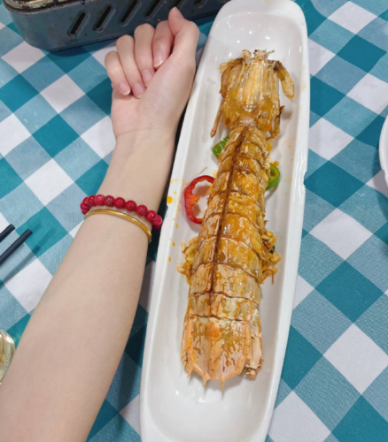 Click to view full screen jumbo Mantis Shrimp Live Seafood Shipped with Oxygen Packs photo review