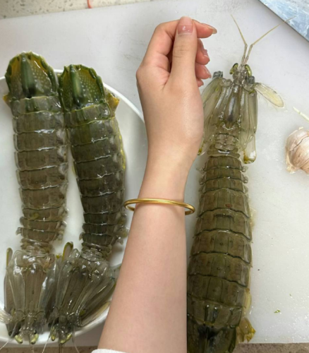 Click to view full screen jumbo Mantis Shrimp Live Seafood Shipped with Oxygen Packs photo review