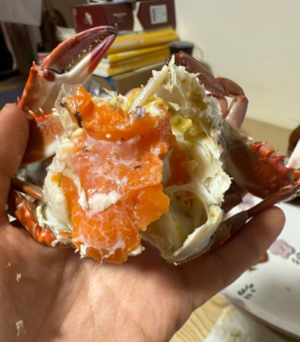 Superior Jumbo Swimming Crab: Bursting with Rich, Creamy Roe and Tomalley photo review