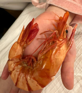 Top-grade / Grilled Dried Shrimp photo review