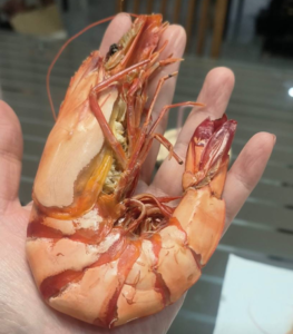 Top-grade / Grilled Dried Shrimp photo review